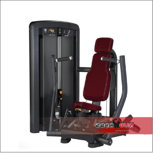 Máquina de pecho placas - LIFE FITNESS