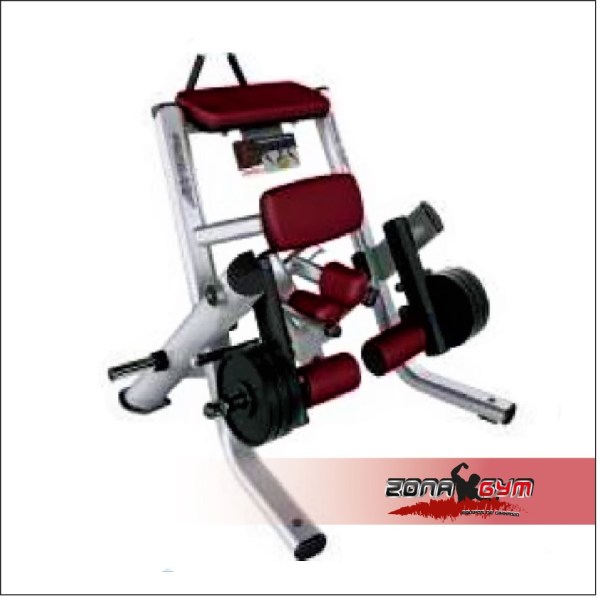 Hammer femoral parado - LIFE FITNESS