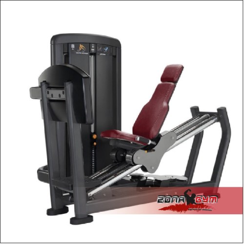 Máquina prensa de empuje placas - LIFE FITNESS