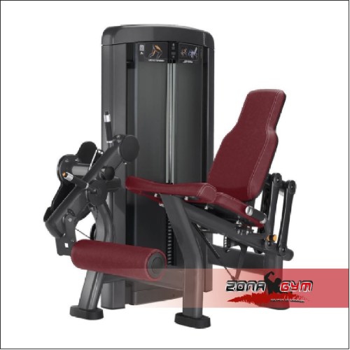 Máquina de cuádriceps -  LIFE FITNESS